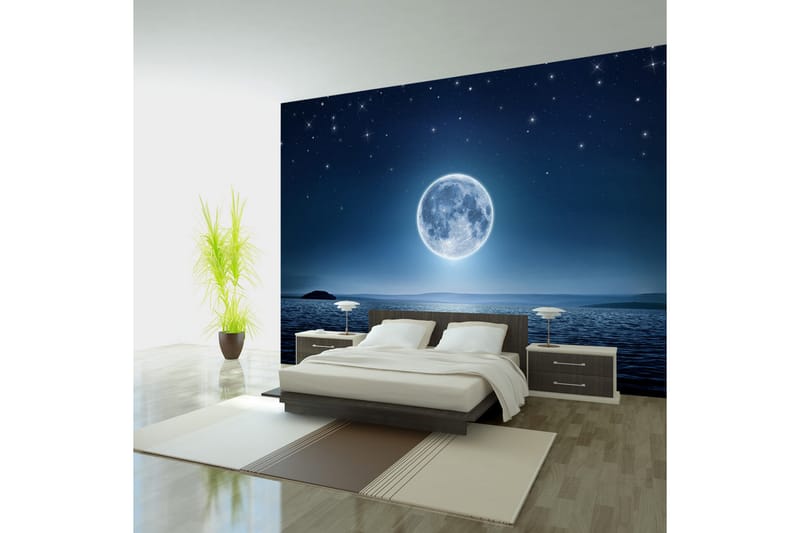 Fototapet Moonlit Night 350x245 - Artgeist sp. z o. o. - Inredning - Tapet - Fototapet