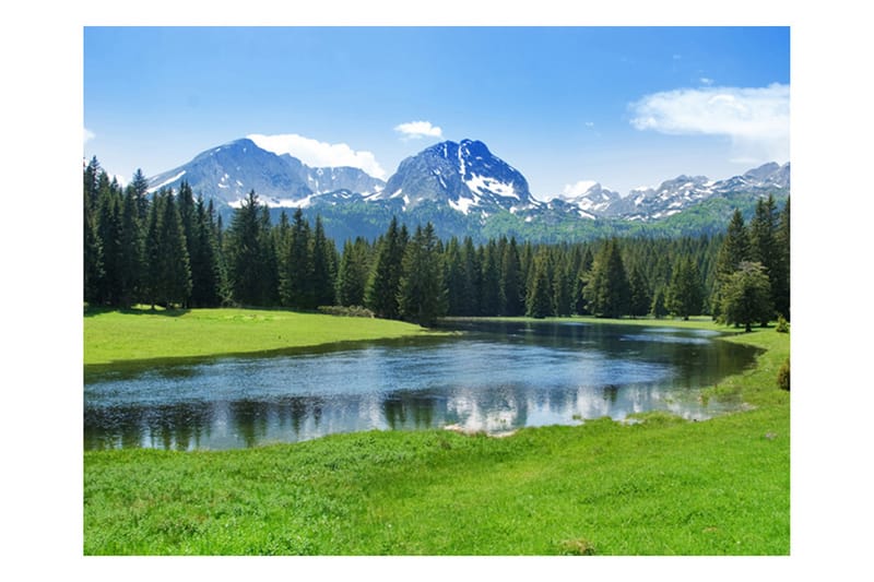 Fototapet National Park Durmitor Montenegro 300x231 - Artgeist sp. z o. o. - Inredning - Tapet - Fototapet