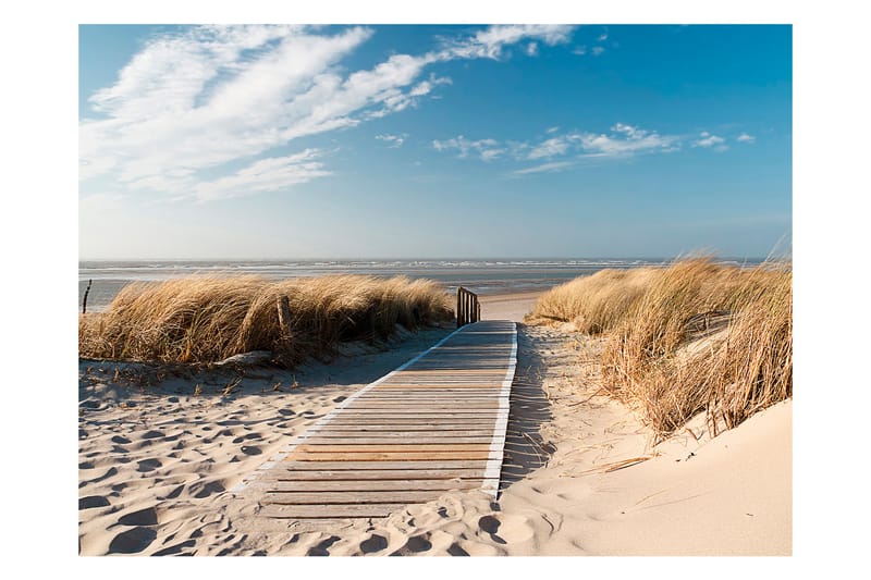 Fototapet Nordsjöns Strand Langeoog 250x193 - Artgeist sp. z o. o. - Inredning - Tapet - Fototapet