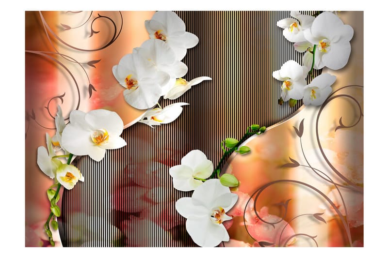 Fototapet Orchid 250x175 - Artgeist sp. z o. o. - Inredning - Tapet - Fototapet