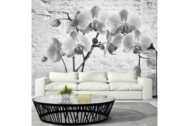 Fototapet Orchid In Shades Of Gray 100x70 - Artgeist sp. z o. o. - Inredning - Tapet - Fototapet