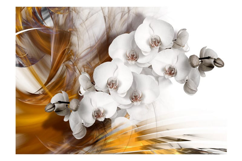 Fototapet Orchid On Fire 350x245 - Artgeist sp. z o. o. - Inredning - Tapet - Fototapet