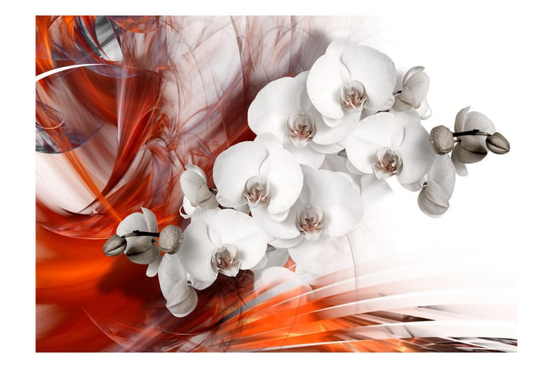 Fototapet Orchid On Fire II 400x280 - Artgeist sp. z o. o. - Inredning - Tapet - Fototapet