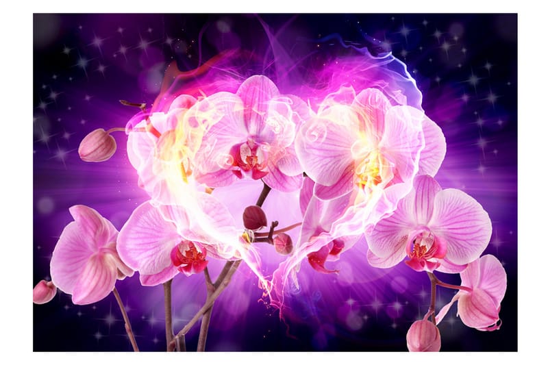 Fototapet Orchids In Flames 350x245 - Artgeist sp. z o. o. - Inredning - Tapet - Fototapet