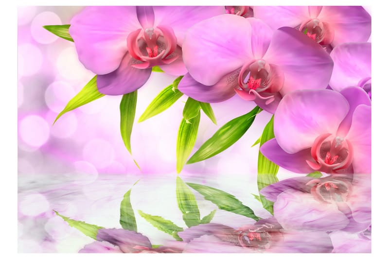 Fototapet Orchids In Lilac Colour 100x70 - Artgeist sp. z o. o. - Inredning - Tapet - Fototapet