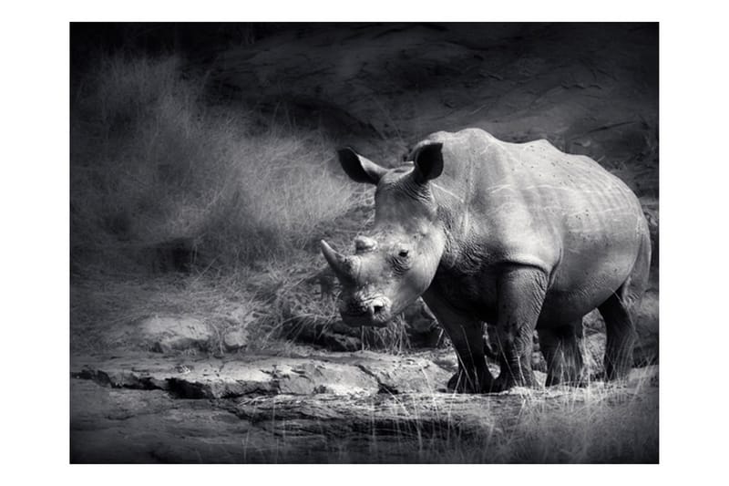 Fototapet Rhino Lost In Dreams 200x154 - Artgeist sp. z o. o. - Inredning - Tapet - Fototapet