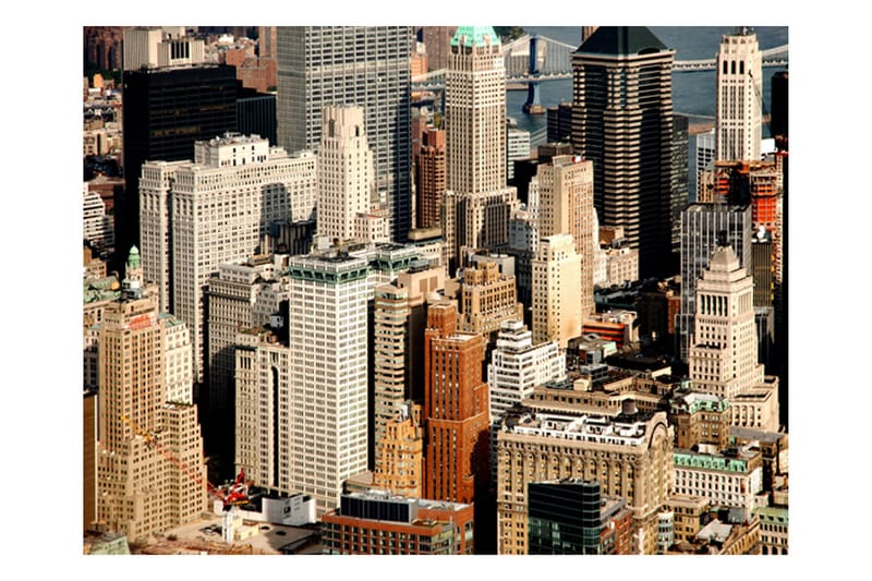 Fototapet Skyscrapers Manhattan 250x193 - Artgeist sp. z o. o. - Inredning - Tapet - Fototapet