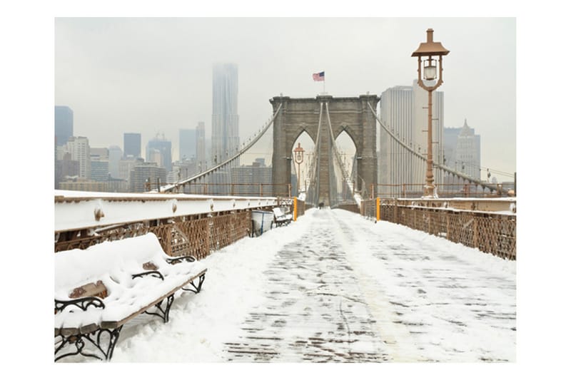 Fototapet Snötäckt Bro New York 400x309 - Artgeist sp. z o. o. - Inredning - Tapet - Fototapet