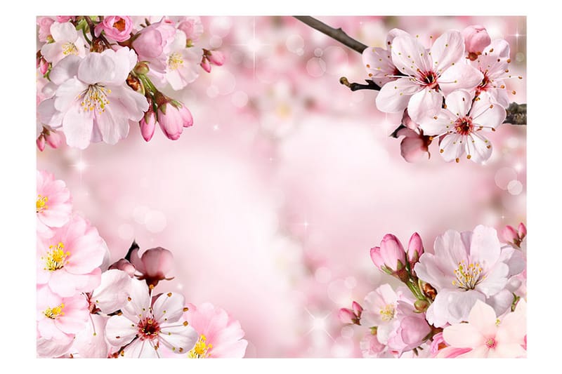 Fototapet Spring Cherry Blossom 100x70 - Artgeist sp. z o. o. - Inredning - Tapet - Fototapet