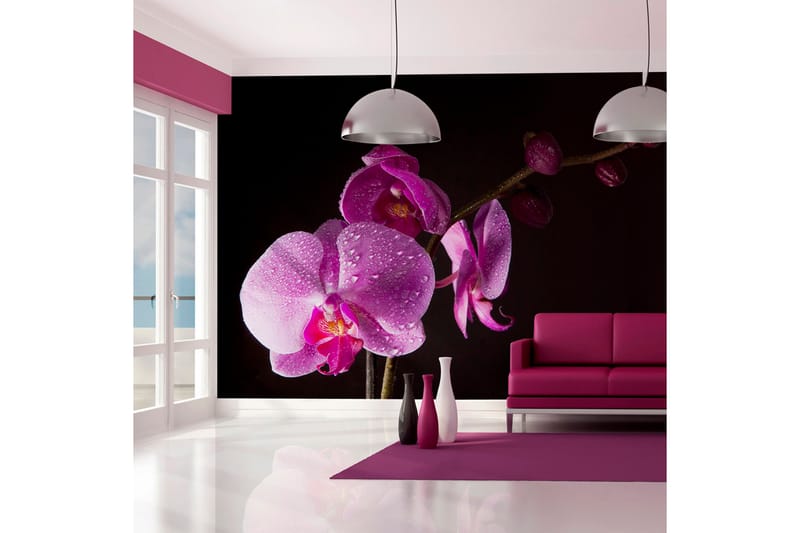 Fototapet Stylish Orchids 200x154 - Artgeist sp. z o. o. - Inredning - Tapet - Fototapet