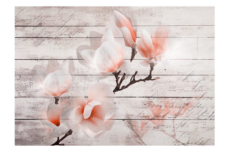 Fototapet Subtlety Of The Magnolia 200x140 - Artgeist sp. z o. o. - Inredning - Tapet - Fototapet