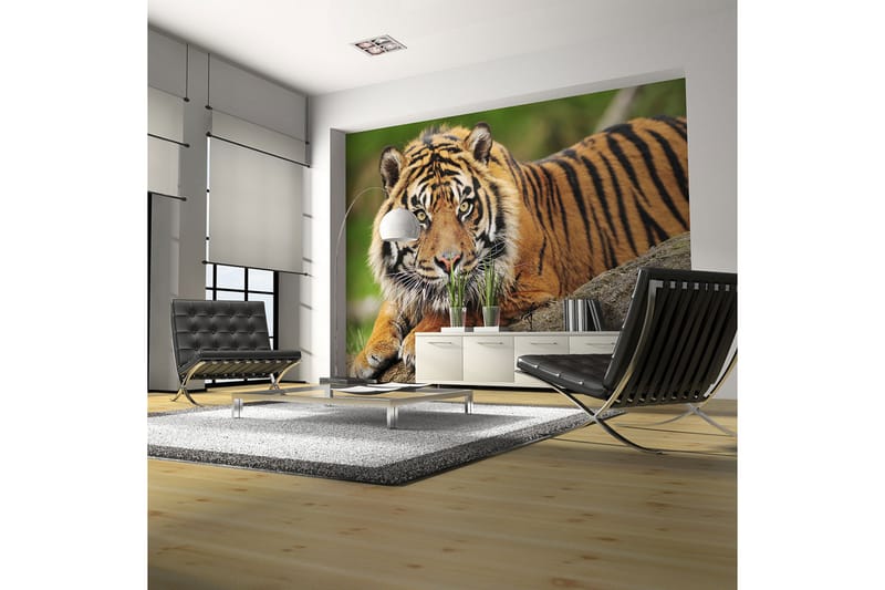 Fototapet Sumatra Tiger 350x270 - Artgeist sp. z o. o. - Inredning - Tapet - Fototapet