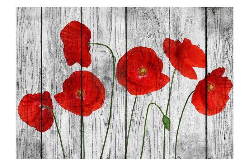 Fototapet Tale Of Red Poppies 300x210 - Artgeist sp. z o. o. - Inredning - Tapet - Fototapet