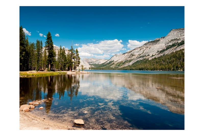 Fototapet Tenaya Lake Yosemite National Park 350x270 - Artgeist sp. z o. o. - Inredning - Tapet - Fototapet