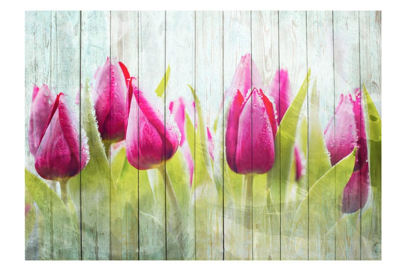 Fototapet Tulips On White Wood 100x70 - Artgeist sp. z o. o. - Inredning - Tapet - Fototapet