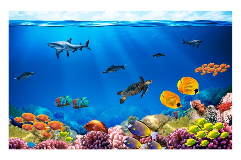 Fototapet Underwater Kingdom 100x70 - Artgeist sp. z o. o. - Inredning - Tapet - Fototapet