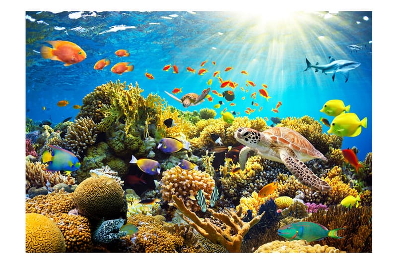 Fototapet Underwater Land 150x105 - Artgeist sp. z o. o. - Inredning - Tapet - Fototapet