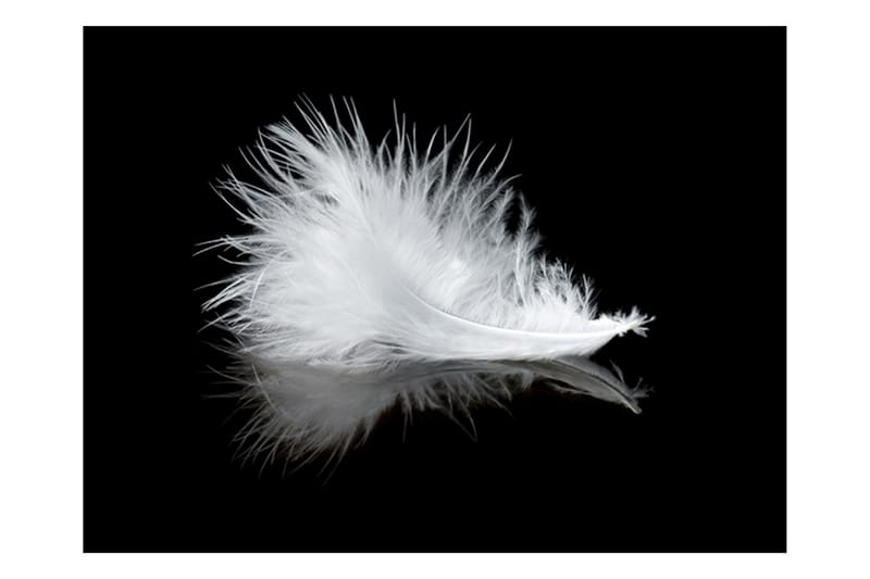 Fototapet White Feather 250x193 - Artgeist sp. z o. o. - Inredning - Tapet - Fototapet