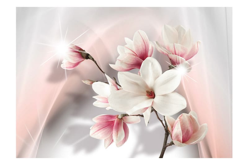 Fototapet White Magnolias 150x105 - Artgeist sp. z o. o. - Tapeter vardagsrum - Fototapet - Kökstapeter - Tapeter sovrum & sovrumstapet