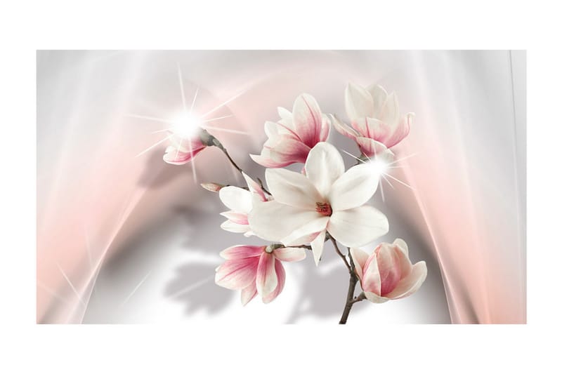 Fototapet XXL White Magnolias II 500x280 - Artgeist sp. z o. o. - Inredning - Tapet - Fototapet