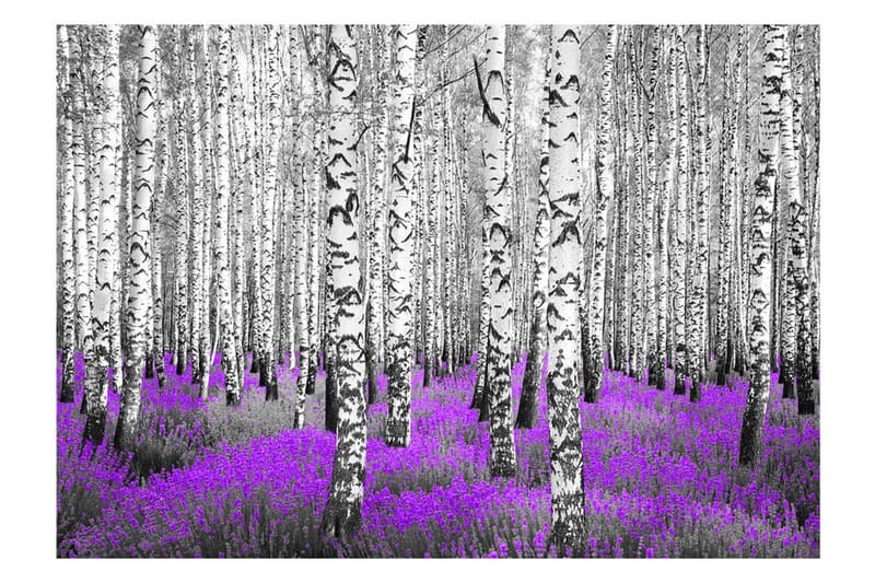 Fototapet Purple Asylum 250x175 - Artgeist sp. z o. o. - Inredning - Tapet - Fototapet