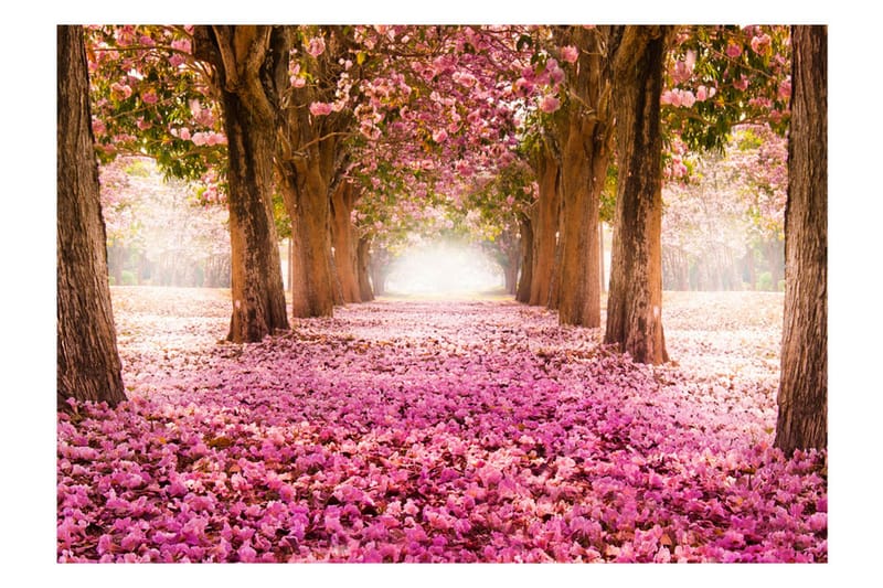 Fototapet Pink Grove 400x280 - Artgeist sp. z o. o. - Inredning - Tapet - Fototapet