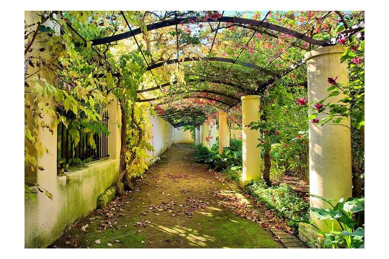 Fototapet Pergola 200x140 - Artgeist sp. z o. o. - Inredning - Tapet - Fototapet