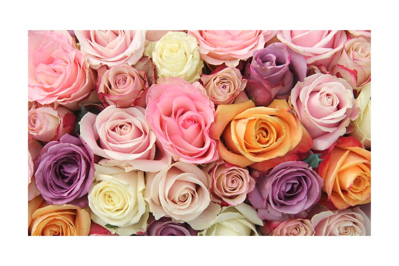 Fototapet Pastel Roses 450x270 - Artgeist sp. z o. o. - Inredning - Tapet - Fototapet