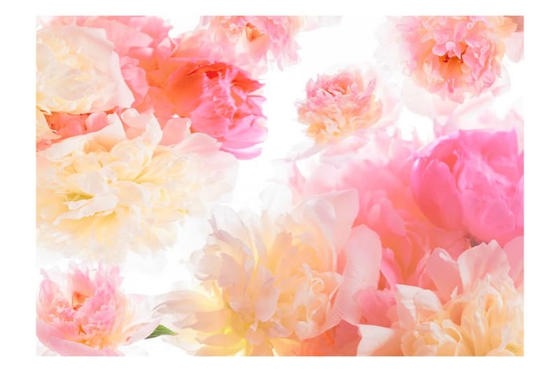 Fototapet Pastel Peonies 250x175 - Artgeist sp. z o. o. - Inredning - Tapet - Fototapet