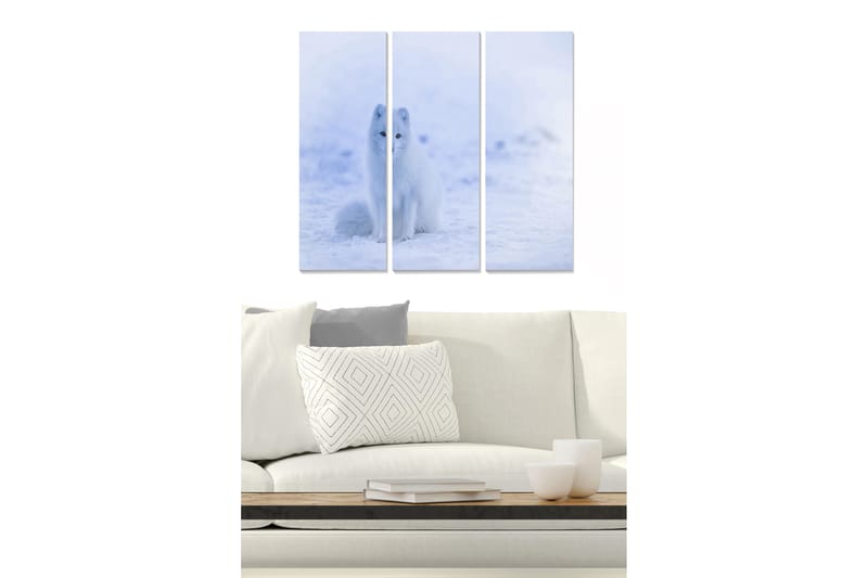 Canvastavla Animal 3-pack Flerfärgad - 20x50 cm - Inredning - Tavlor & posters - Canvastavla