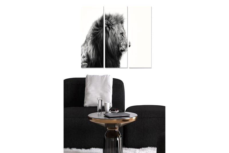 Canvastavla Animal 3-pack Flerfärgad - 20x50 cm - Inredning - Tavlor & posters - Canvastavla