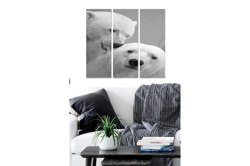 Canvastavla Animal 3-pack Flerfärgad - 20x50 cm - Inredning - Tavlor & posters - Canvastavla