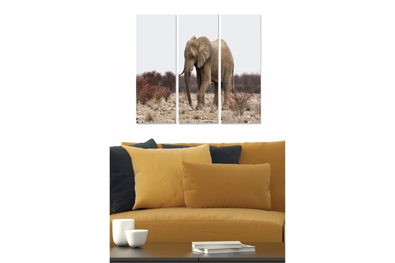 Canvastavla Animal 3-pack Flerfärgad - 20x50 cm - Inredning - Tavlor & posters - Canvastavla