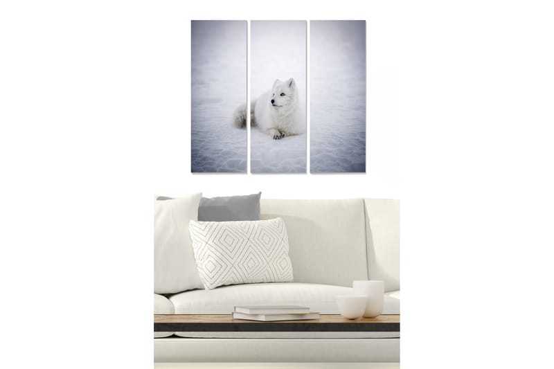 Canvastavla Animal 3-pack Flerfärgad - 20x50 cm - Inredning - Tavlor & posters - Canvastavla