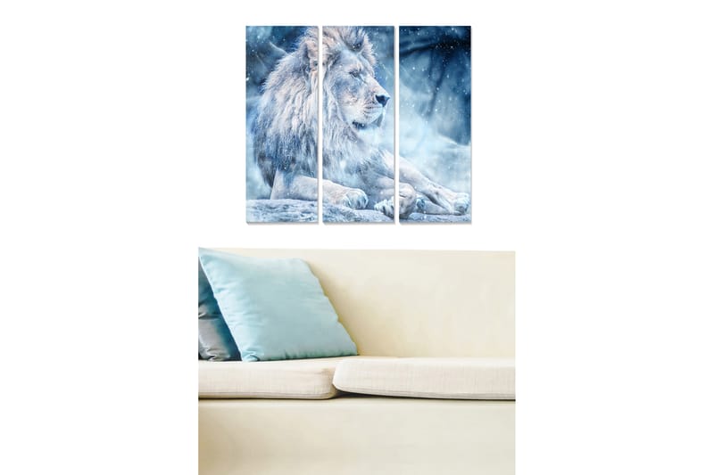 Canvastavla Animal 3-pack Flerfärgad - 20x50 cm - Inredning - Tavlor & posters - Canvastavla