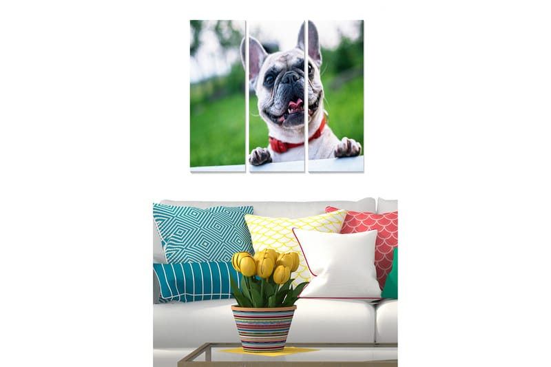 Canvastavla Animal 3-pack Flerfärgad - 20x50 cm - Inredning - Tavlor & posters - Canvastavla