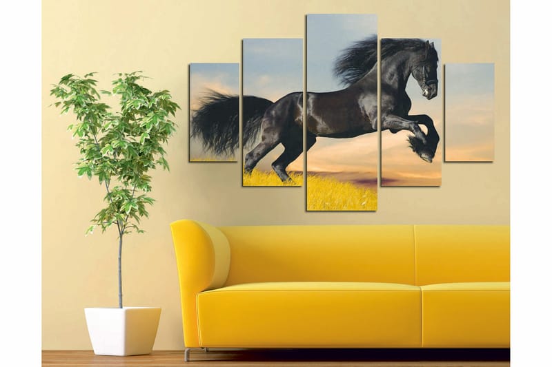 Canvastavla Animals 5-pack Flerfärgad - 56x20 cm - Inredning - Tavlor & posters - Canvastavla