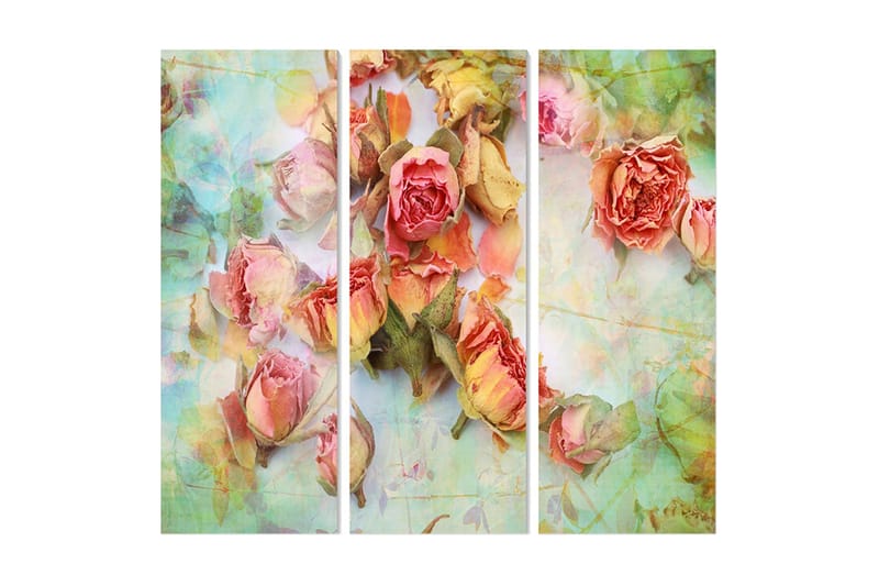 Canvastavla Floral 3-pack Flerfärgad - 20x50 cm - Inredning - Tavlor & posters - Canvastavla