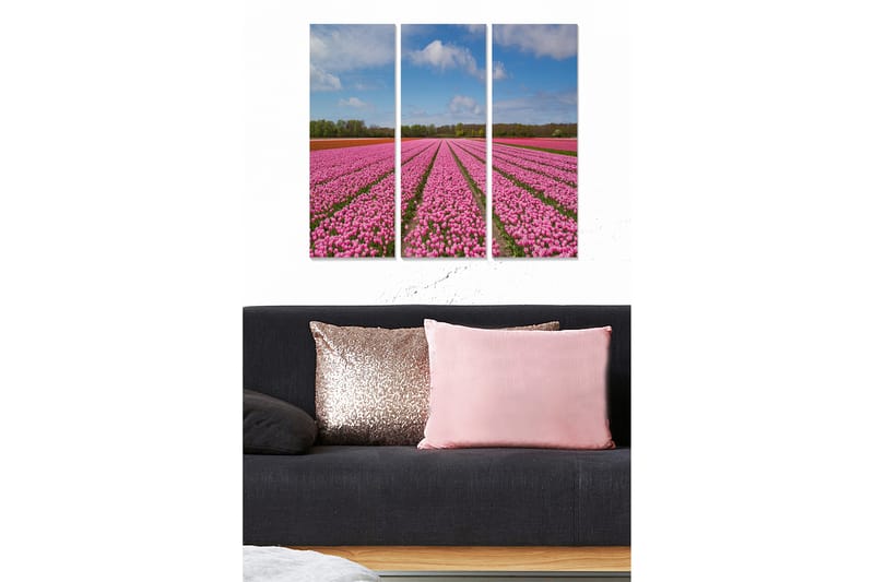 Canvastavla Floral 3-pack Flerfärgad - 20x50 cm - Inredning - Tavlor & posters - Canvastavla