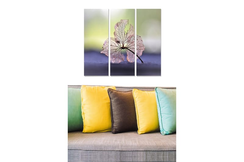 Canvastavla Floral 3-pack Flerfärgad - 20x50 cm - Inredning - Tavlor & posters - Canvastavla