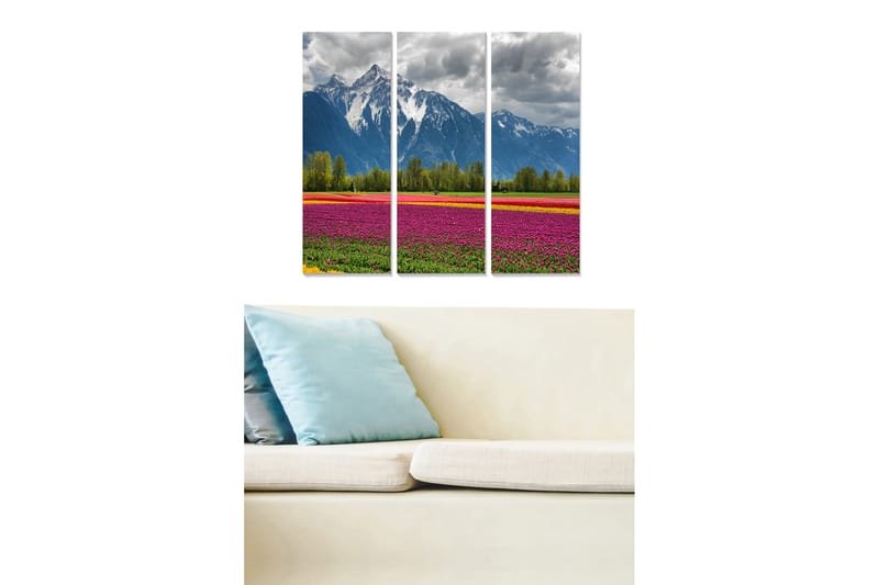 Canvastavla Scenic 3-pack Flerfärgad - 20x50 cm - Inredning - Tavlor & posters - Canvastavla