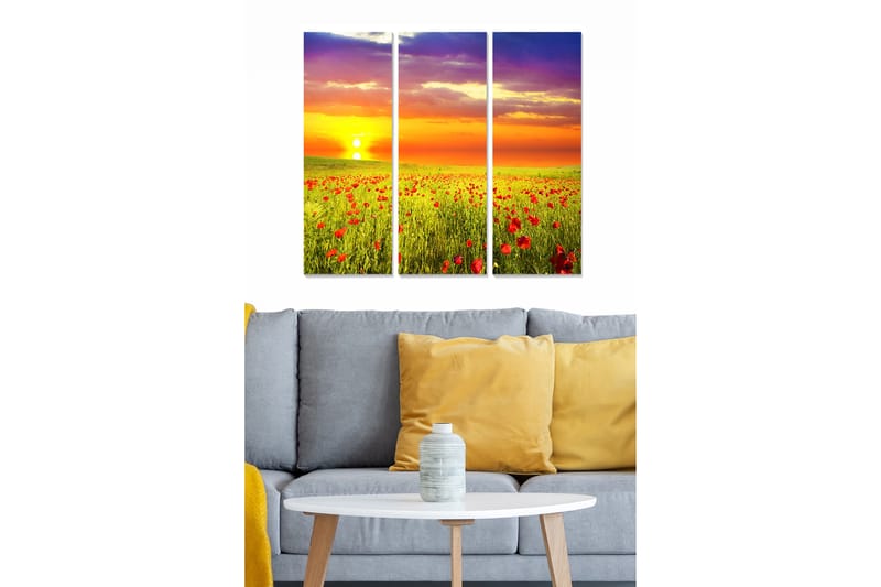 Canvastavla Scenic 3-pack Flerfärgad - 20x50 cm - Inredning - Tavlor & posters - Canvastavla