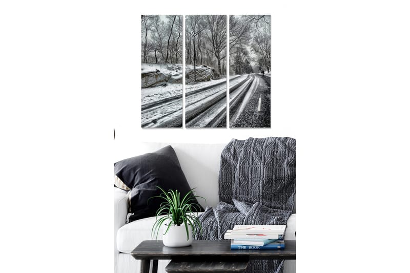 Canvastavla Scenic 3-pack Flerfärgad - 20x50 cm - Inredning - Tavlor & posters - Canvastavla