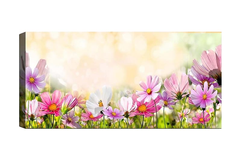 Canvastavla YTY Floral & Botanical Flerfärgad - 120x50 cm - Inredning - Tavlor & posters - Canvastavla