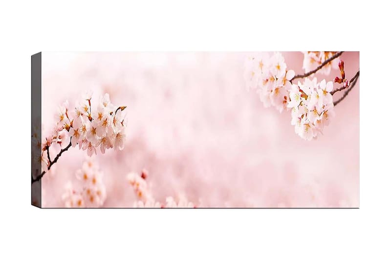 Canvastavla YTY Floral & Botanical Flerfärgad - 120x50 cm - Inredning - Tavlor & posters - Canvastavla