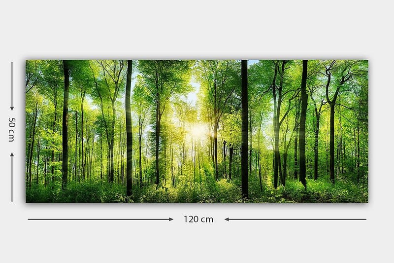 Canvastavla YTY Landscape & Nature Flerfärgad - 120x50 cm - Inredning - Tavlor & posters - Canvastavla