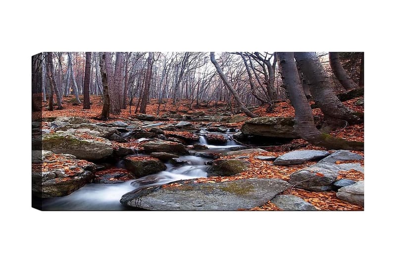 Canvastavla YTY Landscape & Nature Flerfärgad - 120x50 cm - Inredning - Tavlor & posters - Canvastavla