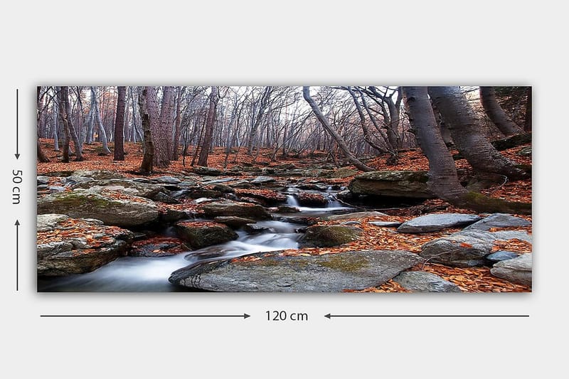 Canvastavla YTY Landscape & Nature Flerfärgad - 120x50 cm - Inredning - Tavlor & posters - Canvastavla