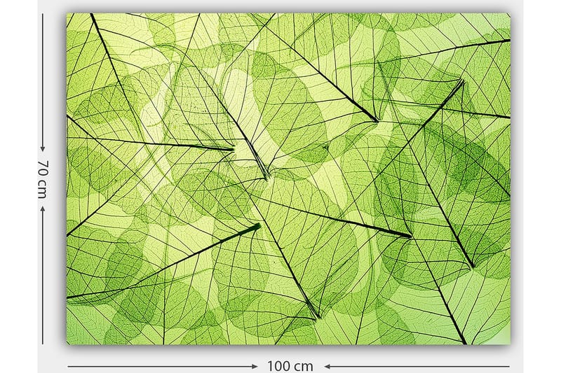 Dekorativ Canvastavla 70x100 cm - Flerfärgad - Inredning - Tavlor & posters - Canvastavla