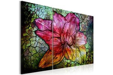 Tavla A Rainbow-Hued Abstract Flower 60x40